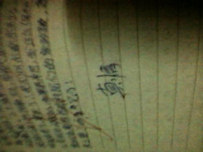 校園真情作文300字左右