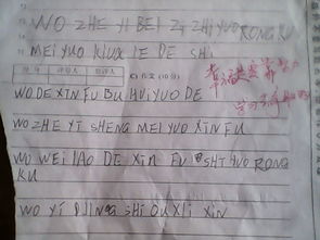 我的校我的校園作文400字作文600字