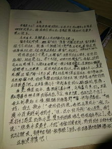 我們的校園三級作文總分總