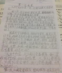 校園變奏曲作文450字