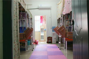 校園寢室作文,校園寢室生活作文,關(guān)于寢室的作文