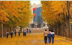 校園的石榴樹(shù)作文200字