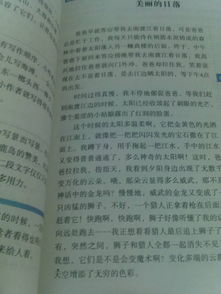 校園小景400字作文動(dòng)靜結合