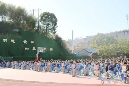 作文,文化活動(dòng),法治,校園