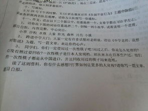 我們美麗的校園450字作文怎么寫(xiě)