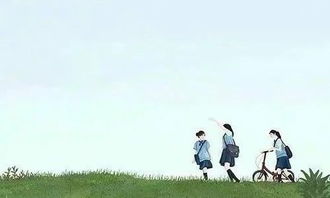 有關(guān)校園友誼的作文600字作文大全