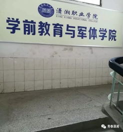 建設美麗校園從我做起作文全文