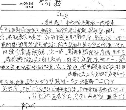 三年級春天的校園作文200字,春天的校園真美作文三年級,春天的校園小學(xué)三年級作文