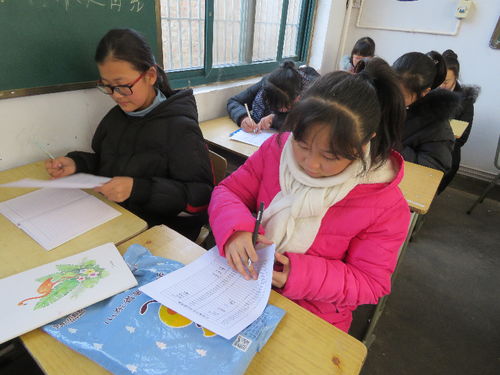 校園創(chuàng  )新作文200字