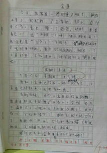 校園一角作文350字四年級,校園一角的作文350字左右,寫(xiě)校園一角作文350字