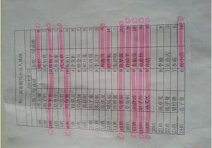 校園活動(dòng)報道英語(yǔ)作文