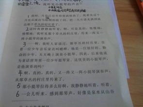 進(jìn)入校園的感受作文,關(guān)于校園欺凌的感受的作文,來(lái)到校園的感受作文