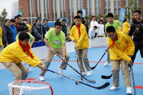 冰雪運動(dòng)幾進(jìn)校園的作文300