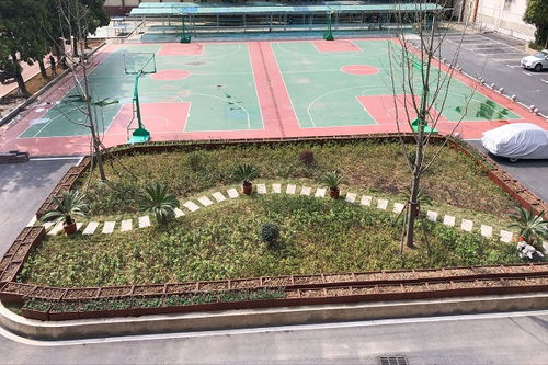 希望疫情早點(diǎn)結束回到校園的作文