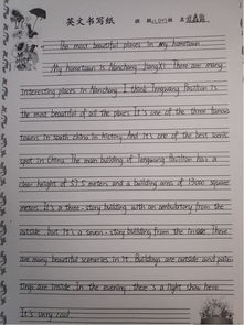 作文,英語(yǔ),運動(dòng)會(huì ),校園