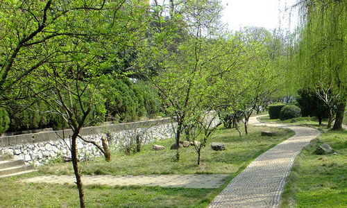 校園兩三事作文400字小學(xué)