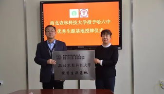 作文,科技大學(xué),西北農林,校園