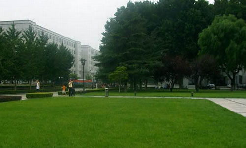 校園變了作文100