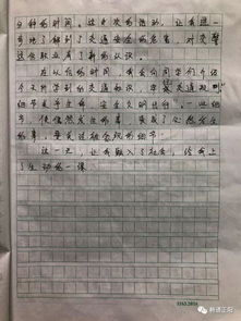 作文,交通安全,題目,高中