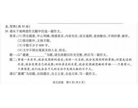 三級作文發(fā)現校園的美