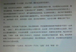 關(guān)于介紹校園的作文450字左右