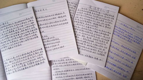 憲法進(jìn)校園作文800開(kāi)頭結尾