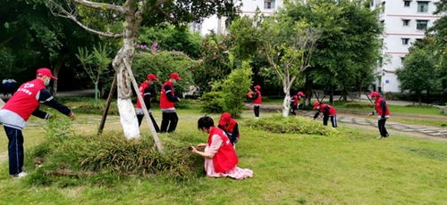 保護生態(tài)環(huán)境建設美麗校園作文