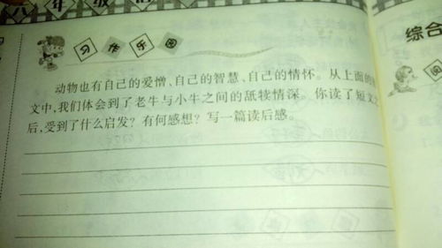 走進(jìn)新校園250字作文