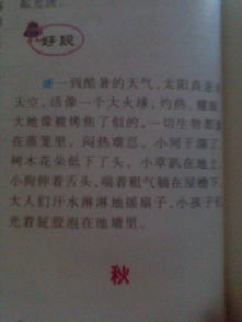 美麗的校園夏天作文200字作文怎么寫(xiě)