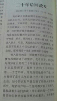 作文,暢想,未來(lái),校園