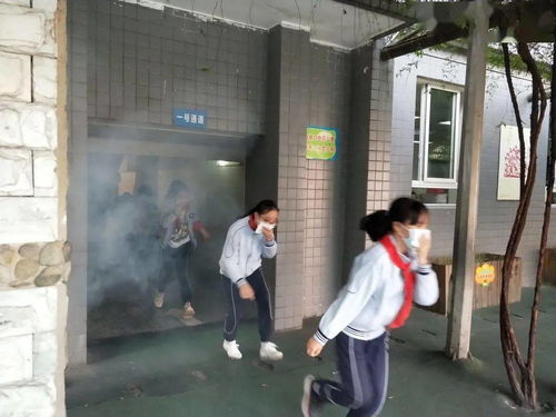 校園活動(dòng)消防演練作文600