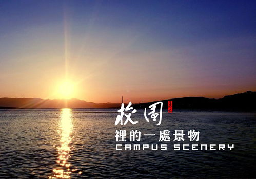 校園景觀(guān)的作文400字作文400字作文