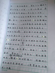 用說(shuō)明文寫(xiě)我的校園的作文怎么寫(xiě)