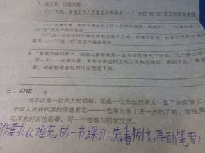 校園體育節感想作文