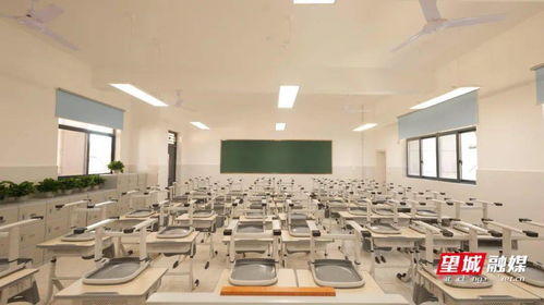 校園真美麗的作文400字,校園真美麗400字,校園真美麗作文400字左右