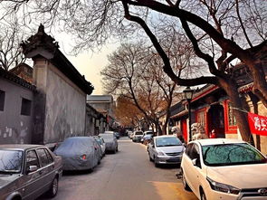 美麗的校園方家胡同小學(xué)作文