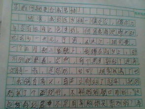 作文雨后的校園作文600字