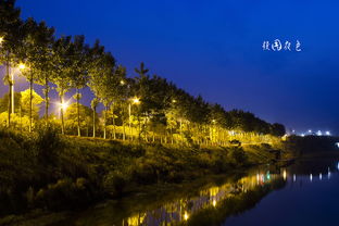 作文,初冬,夜景,校園