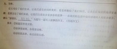 以校園為話(huà)題450字作文