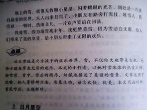 冬季校園售動(dòng)的作文600字以上