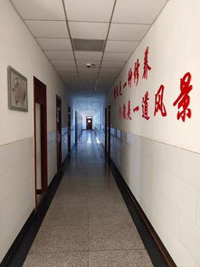 愛(ài)護環(huán)境共建美麗校園作文