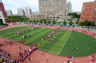 錦州市實(shí)驗學(xué)校校園一角作文