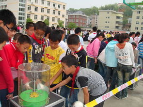 科技進(jìn)校園的心得體會(huì )作文