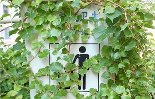 綠色校園我先行作文