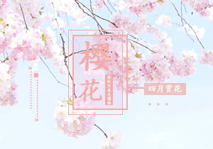 寫(xiě)校園的春天的櫻花作文