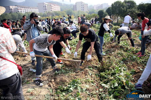 校園秋收活動(dòng)展作文怎么寫(xiě)