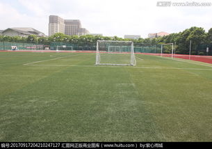 作文,足球場(chǎng),新建,校園