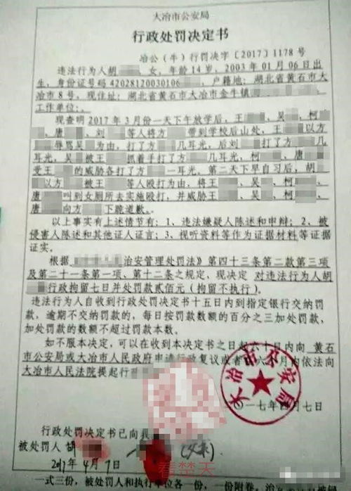 校園暴力作文高中800