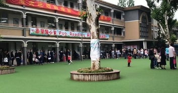 美麗的校園作文道北西街小學(xué)