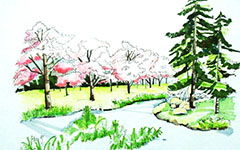 校園一角操場(chǎng)作文300字,校園一角350字作文之操場(chǎng),校園一角操場(chǎng)作文400字寫(xiě)景